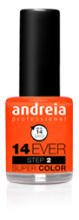 Vernis &agrave; Ongles 14 Ever