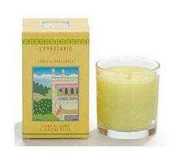 Bougie Parfum&eacute;e C&egrave;dre et Cypr&egrave;s