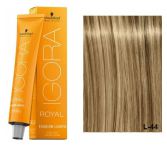 Igora Royal Fashion à Colorier 60 ml Igora Royal Fashion à Colorier 60 ml