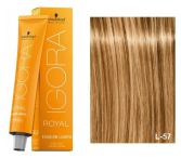 Igora Royal Fashion à Colorier 60 ml Igora Royal Fashion à Colorier 60 ml