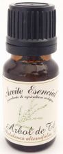 Huile essentielle de th&eacute;ier Melaleuca alternifolia 30 ml