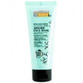 Masque Visage Absorbant Mousse d'Islande 75 ml