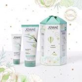 Coffre de No&euml;l purificateur 2 pi&egrave;ces